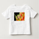 Search for tree frog tshirts Colorful