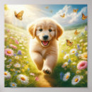 Search for golden retriever posters Cute puppy
