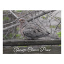 Search for white dove peace posters Inspirational
