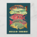 Search for fish postcards vintage