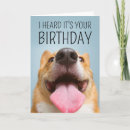 Search for corgi birthday cards Pembroke welsh corgi