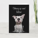 Search for pitbull birthday cards Dog