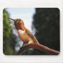 Search for hummingbird mousepads Male