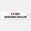 Search for border collie bumper stickers Dog