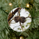 Search for pinecone gifts Trees