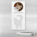 Search for fun magnets Cat