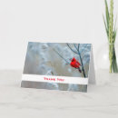 Search for cardinal thank you cards Nature