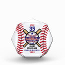 Search for baseball awards Mvp