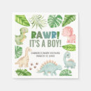 Search for dinosaur baby shower Boho