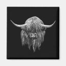 Search for cow magnets Highland