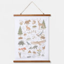 Search for woodland animals art Alphabet