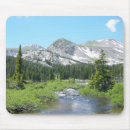 Search for pine tree gifts Mountains