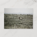 Search for elk business cards Animal