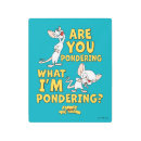 Search for pinky and the brain gifts Are you pondering