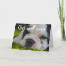 Search for bulldog get well cards French