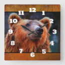 Search for bear clocks Nature