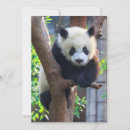 Search for panda thank you cards China