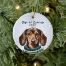 Search for dachshund ornaments Keepsake