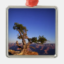 Search for grand canyon ornaments Scenic