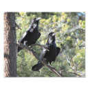 Search for raven gifts Animal