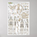 Search for blueprint posters Design