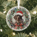 Search for german shorthaired pointer ornaments Gsp