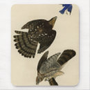 Search for bird mousepads Audubon