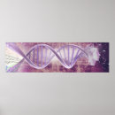 Search for human evolution posters Science