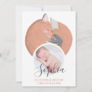 Search for fall birth announcement cards Orange