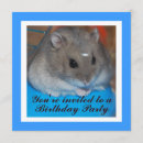 Search for hamster birthday invitations Funny