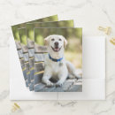 Search for puppy folders Smile