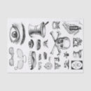 Search for apothecary tissue paper Craft