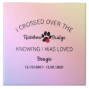 Search for crossing rainbow bridge Pet loss