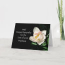 Search for on loss of husband sympathy cards Spouse