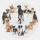 Search for label postcards Animals