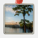 Search for fiji ornaments Coastline