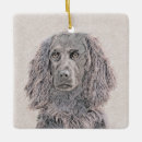 Search for boykin spaniel ornaments Dog