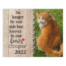 Search for pet memorial canvas prints Cat