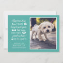 Search for dog adoption invitations Cute