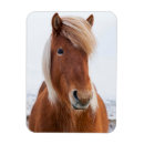 Search for 4x6 cards Farm