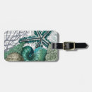 Search for fish luggage tags Antique