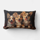 Search for pembroke welsh corgi pillows Animal