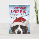 Search for st bernard christmas cards Dog lover