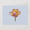 Search for holographic postcards Elegant