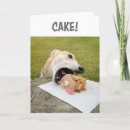 Search for greyhound cards birthday