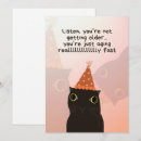 Search for funny cat sayings cards Meme