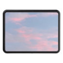 Search for cute trailer hitch covers Blue