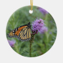 Search for monarch butterfly ornaments Insects