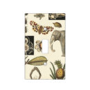Search for fish light switch covers Turtle