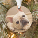 Search for french bulldog ornaments Cute